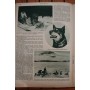 Magazine Cine Miroir 1922 With Captain Scott to the South Pole