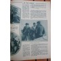 Magazine Film Complet 1929 Reed Howes Nita Martan J.P. McGowan Billy Franey The Royal American Harry Joe Brown