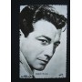 Robert Taylor