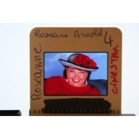 Roseanne TV Serie