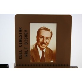 Walt Disney Candid Photo