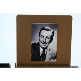 Walt Disney Candid Photo