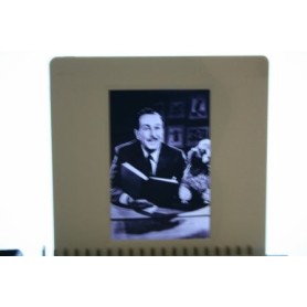 Walt Disney Candid Photo