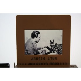 Walt Disney Bambi Candid Photo
