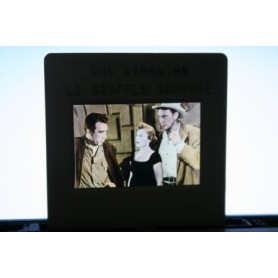 Gary Cooper Barbara Stanwyck Blowing Wild
