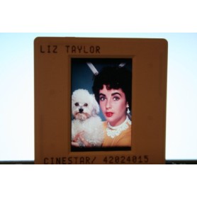 Elizabeth Taylor