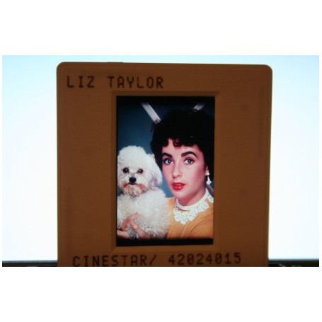 Elizabeth Taylor