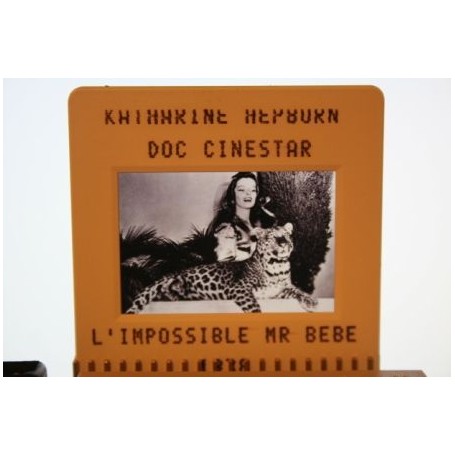 Katharine Hepburn Bringing Up Baby