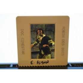 Errol Flynn Robin Hood
