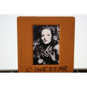 Marlene Dietrich