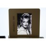 Simone Signoret Casque d'Or