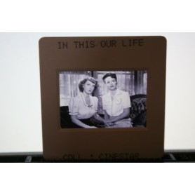 Bette Davis Olivia De Havilland In This Our Life